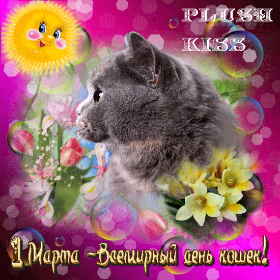 Открытка С кошками - Открытка с котенком на 8 марта  милый сюрприз! | Красивая открытка #62