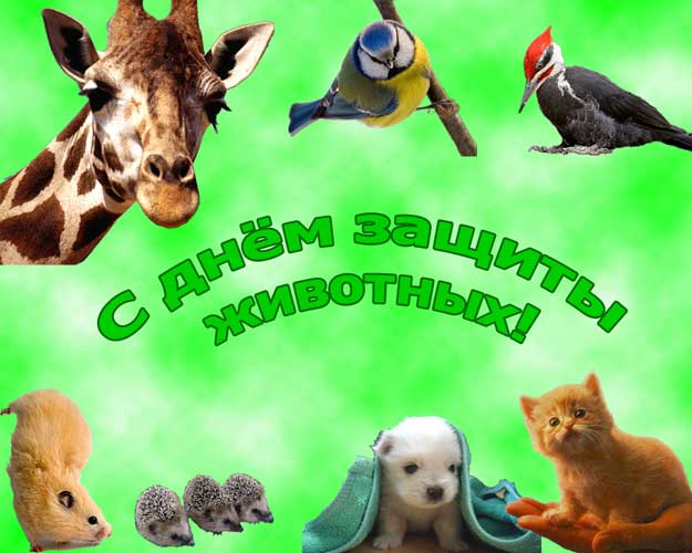 Открытка День защиты животных - Открытка с животными: ёжик, мышь, кот, пёс, птицы | Красивая открытка #13