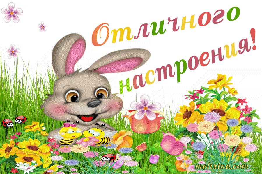 Открытка Открытки хорошего настроения - Открытка с зайчиком и цветами | Красивая открытка #63