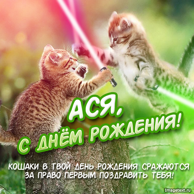 Открытка открытки с именем Ася - С Днём Рождения! Котики обнимаются  открытка с поздравлением | Красивая открытка #23