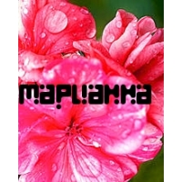 Открытка открытки с именем Марианна  - Алые цветы: поздравительная открытка | Красивая открытка #17