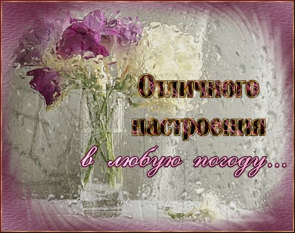 Открытка Картинки про погоду - Открытка с фиалками: нежные цветы и надпись | Красивая открытка #6