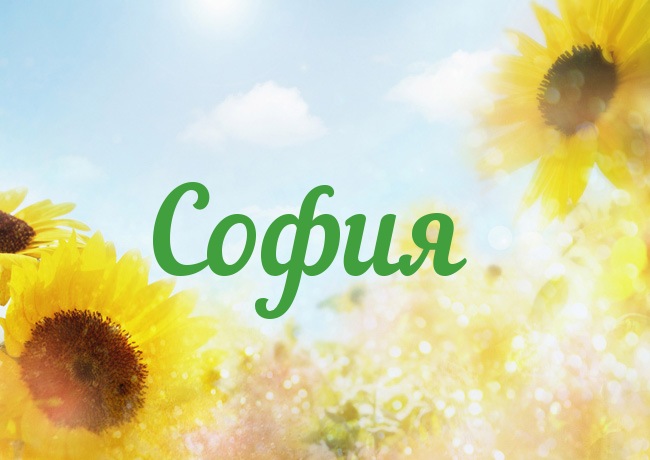 Открытка открытки с именем София - Открытка с подсолнухами на фоне голубого неба | Красивая открытка #29