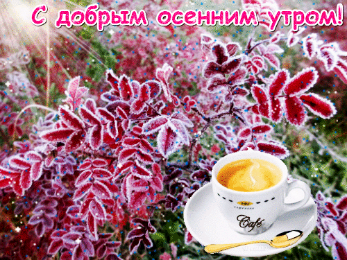 Открытка доброе осеннее утро - Красные листья и чашка кофе: открытка с утра | Красивая открытка #14