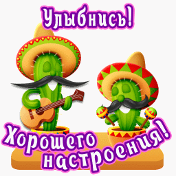 Открытка Открытки улыбнись - Открытка с кактусами в сомбреро. | Красивая открытка #15