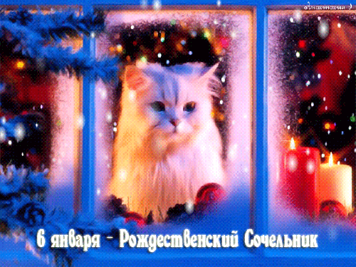 Открытка Рождественский Сочельник - Открытка: Новый год — милый котенок у окна | Красивая открытка #11