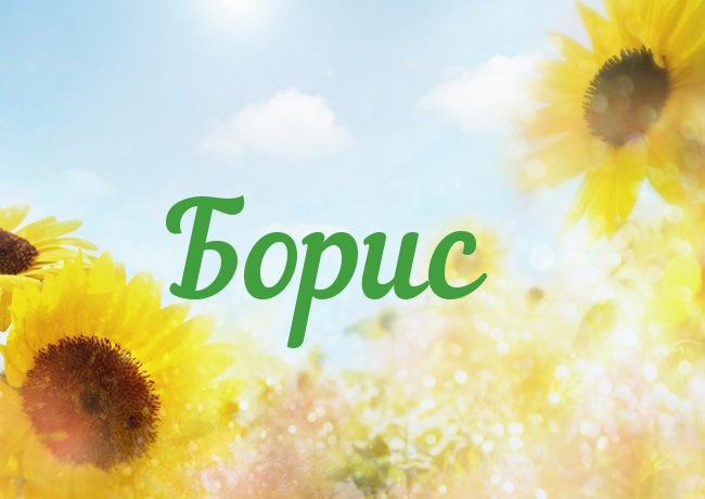 Открытка открытки с именем Борис - Открытка с подсолнухами на фоне голубого неба | Красивая открытка #16