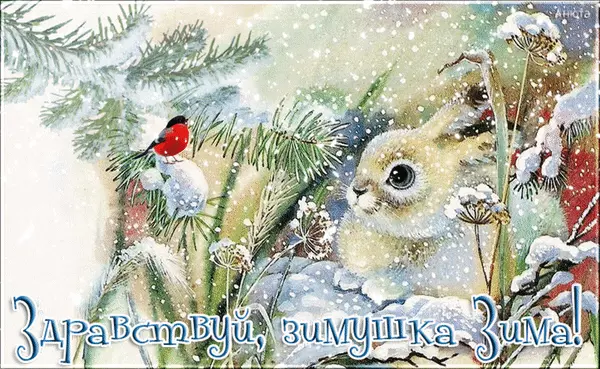 Открытка открытки с первым днем зимы  - Открытка с зайцем и снегом: зимнее поздравление | Красивая открытка #86