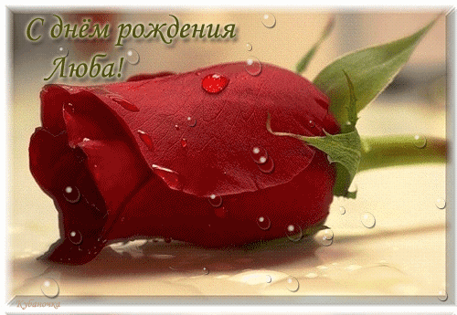Открытка открытки с именем Любовь - Красная роза с каплями росы: поздравительная открытка | Красивая открытка #10