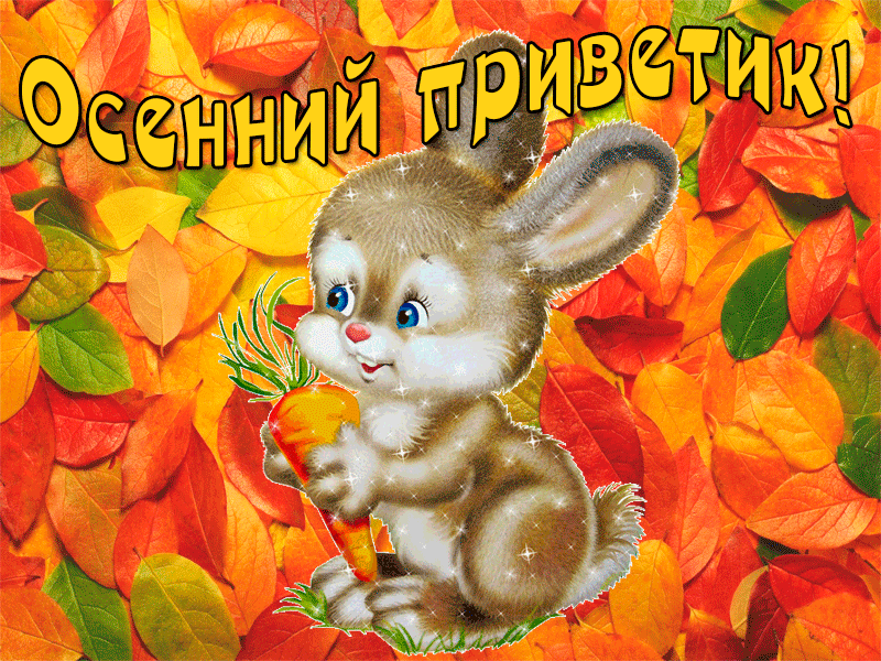 Открытка Осенний приветик - Открытка с зайчиком и морковкой на фоне осенних листьев | Красивая открытка #25