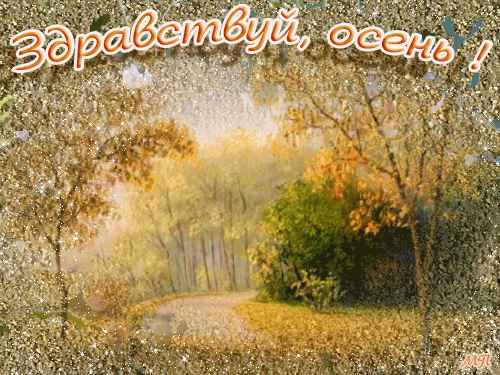 Открытка Первый день осени - Осенний лес: тропа в золотой свет. Открытка | Красивая открытка #134
