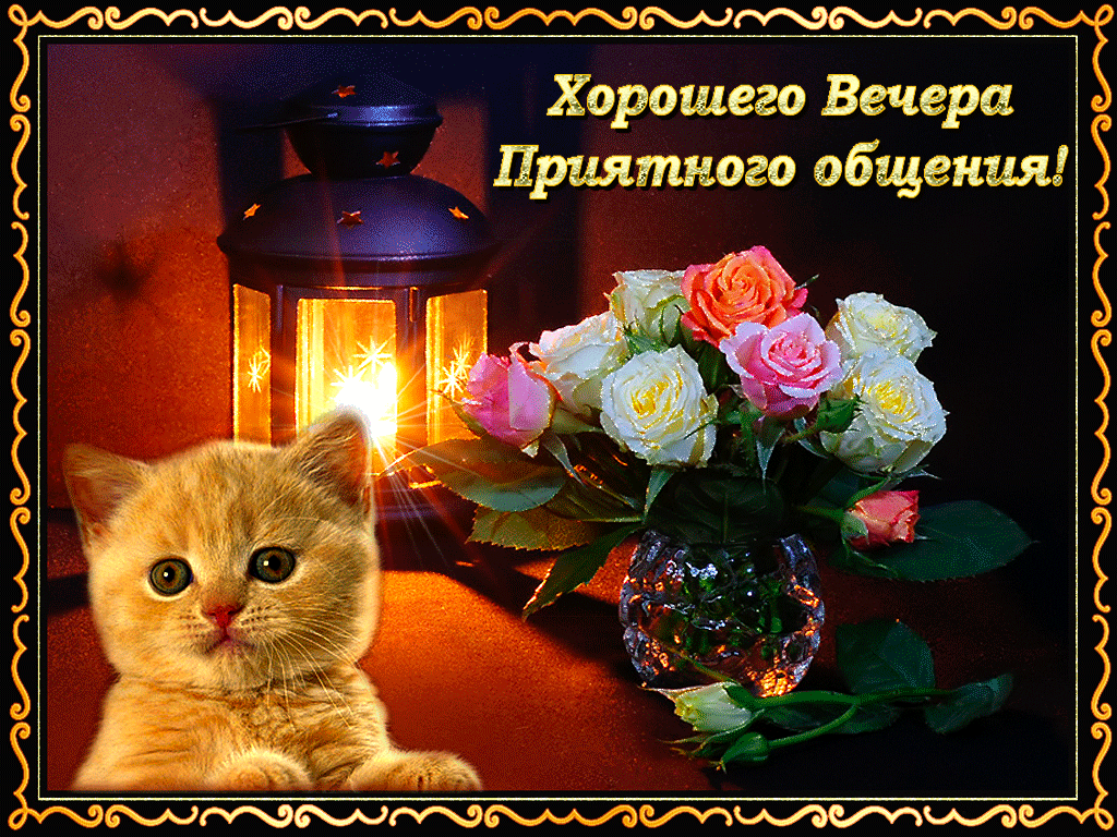 Открытка Открытки добрый вечер - Котенок, цветы и фонарь: праздничная открытка | Красивая открытка #31