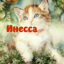 Открытка открытки с именем Инесса - Рыжий кот на новогодней открытке | Красивая открытка #20