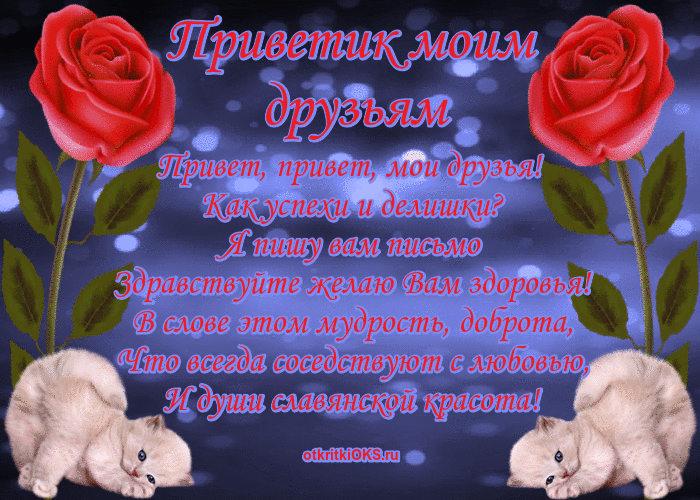 Открытка Открытки с приветствиями  - Открытка: Красные розы, котята, поздравления | Красивая открытка #21