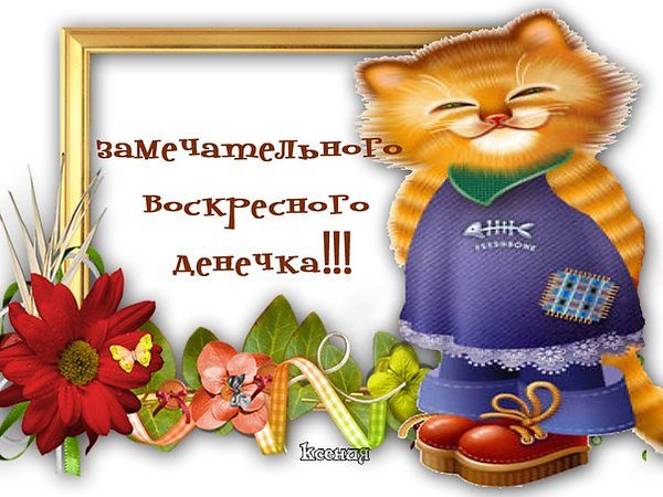 Открытка Открытки на воскресенье - Открытка с котом в платье и тапках | Красивая открытка #42