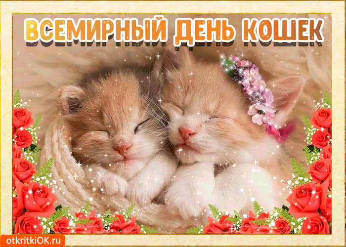 Открытка День Кошек - Два котенка спят в обнимку — открытка с котятами | Красивая открытка #20