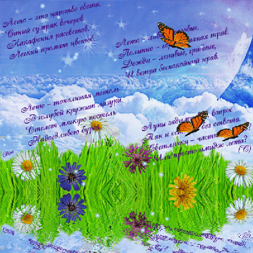 Открытка Стихи о лете - Полевые цветы на лугу. Открытка с цветами. | Красивая открытка #27