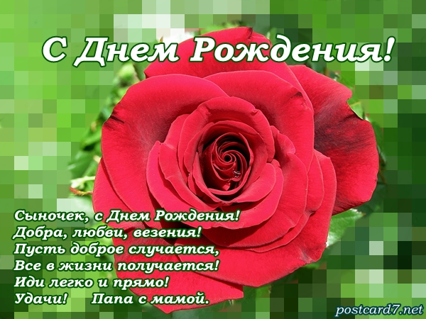 Открытка открытки на день рождения сына - Открытка с днем рождения: Красивый букет роз | Красивая открытка #6