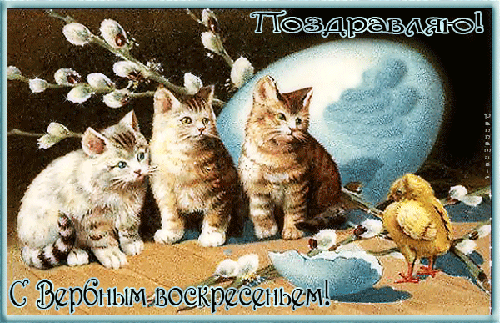 Открытка Вербное Воскресенье - Открытка с котятами и цыплёнком на Пасху | Красивая открытка #182