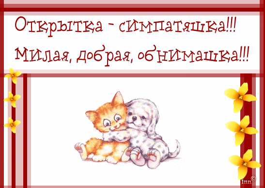 Открытка Открытки обнимаю - Открытка с котятами: милые котята обнимаются | Красивая открытка #7