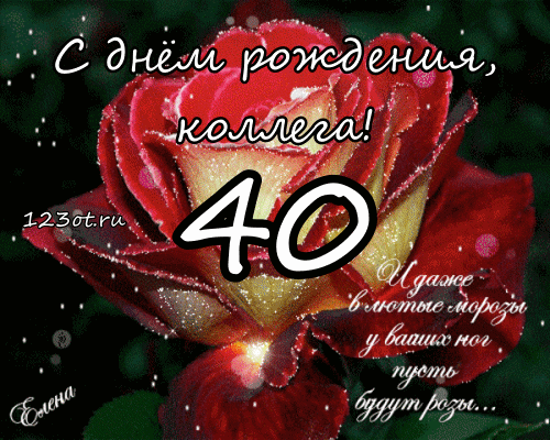 Открытка Открытки на 40 лет - Открытка с днем рождения: Красная роза и цифра 40 | Красивая открытка #32