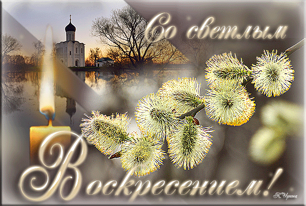 Открытка С вербным воскресеньем - Весенняя открытка: Пасхальный свет и верба | Красивая открытка #93