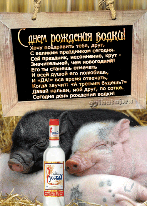 Открытка Открытки на День Рождения Русской Водки - С Днём Рождения! Свинья с водкой - смешная открытка | Красивая открытка #13
