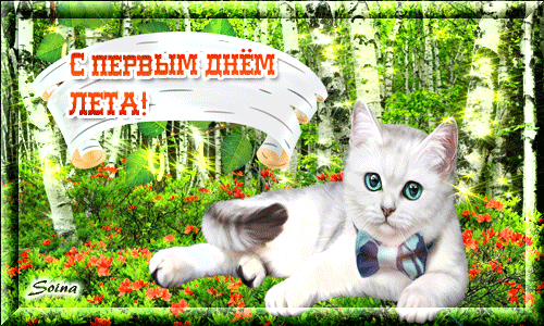 Открытка Первый день лета - Открытка с котенком: День рождения  Поздравления | Красивая открытка #131