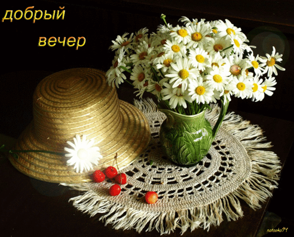 Открытка С ромашками - Открытка с полевыми цветами, шляпа и ягоды | Красивая открытка #94