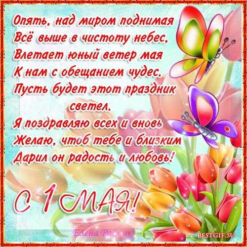 Открытка открытки на 1 мая - Поздравление с 1 мая: Красивая открытка с цветами | Красивая открытка #42