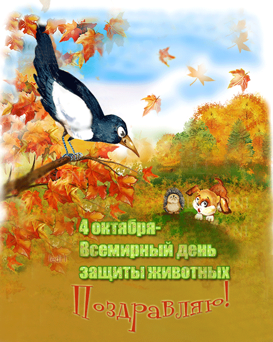Открытка Открытки с днем защиты животных - Открытка с птицей, ежиком, лисой. 4 октября  День защиты животных. | Красивая открытка #8