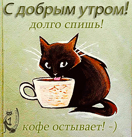 Открытка Открытки с приколами доброе утро - Черный кот пьет кофе - открытка с юмором | Красивая открытка #3