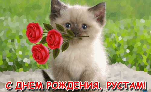 Открытка Открытки с именем Рустам - Открытка с котенком и розами. С днем рождения! | Красивая открытка #126