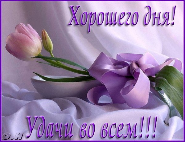 Открытка Хорошего дня - Открытка с фиалками | Красивая открытка #25