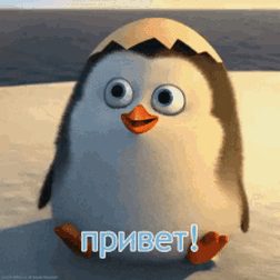 Открытка Открытки с приветствиями  - Открытка с милым пингвиненком! | Красивая открытка #156