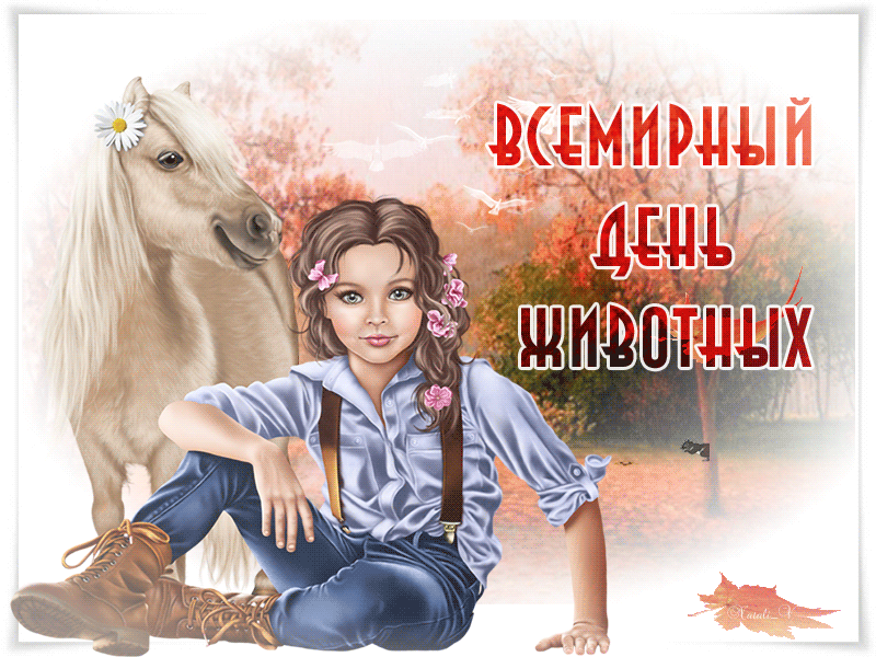 Открытка День защиты животных - Открытка с девочкой и лошадью  С Днем Рождения! | Красивая открытка #1