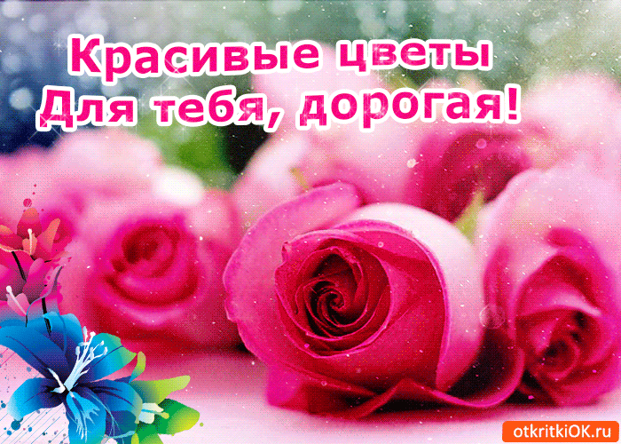 Открытка Открытки для тебя - Розовые розы и голубые цветы: открытка с цветами | Красивая открытка #123