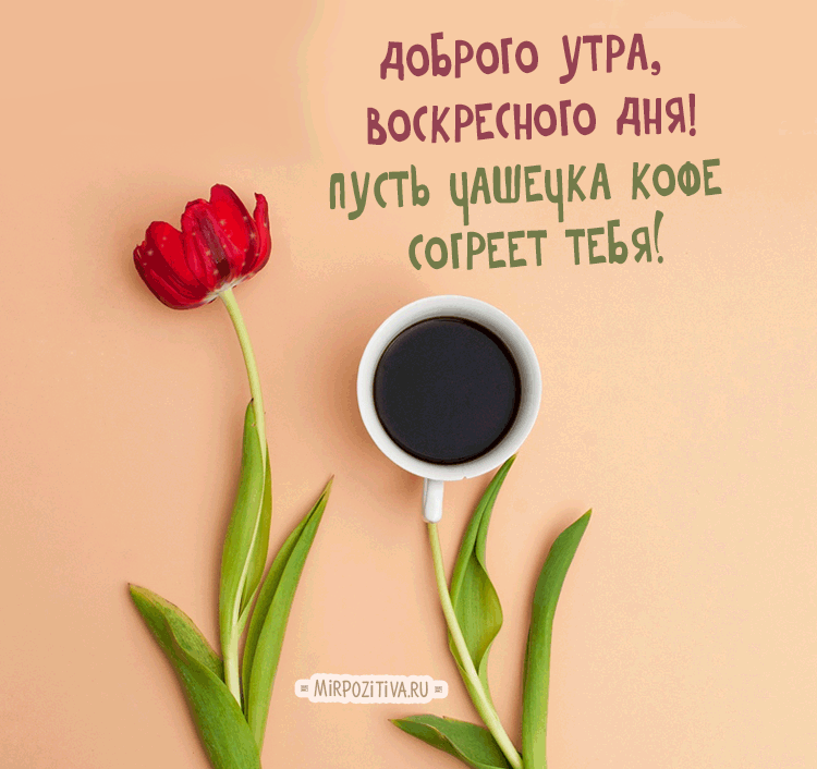 Открытка Открытки на воскресенье - Открытка с кофе и тюльпанами  Доброе утро! | Красивая открытка #27
