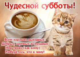 Открытка Открытки на субботу - Кофейная открытка с котенком | Красивая открытка #8