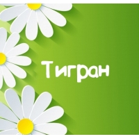 Открытка открытки с именем Тигран - Открытка с цветами: ромашки на зеленом фоне | Красивая открытка #27