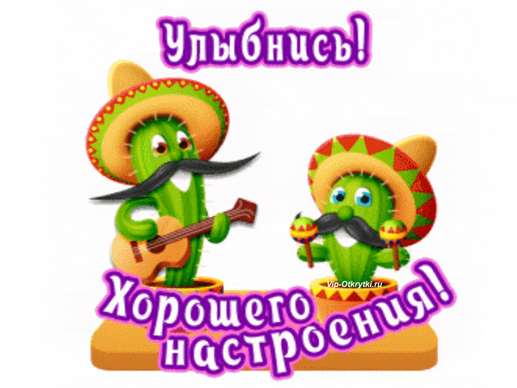 Открытка Открытки улыбнись - Открытка с кактусом в сомбреро и гитаре | Красивая открытка #91