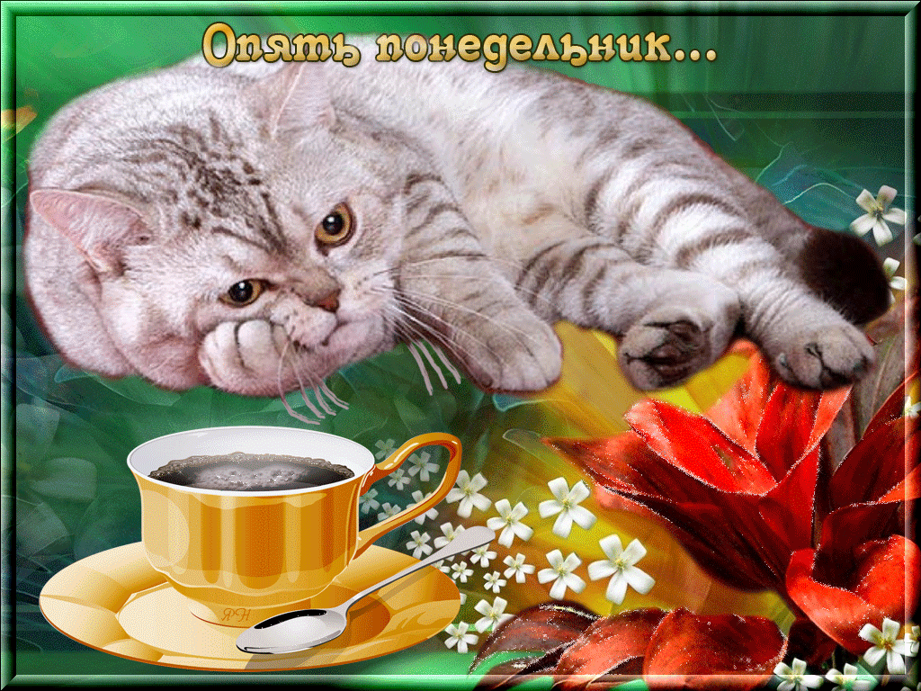 Открытка Открытки на понедельник - Открытка с котенком и чаем | Красивая открытка #19
