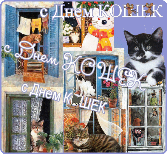 Открытка День Кошек - Открытка с котами: сад, окна, цветы | Красивая открытка #48