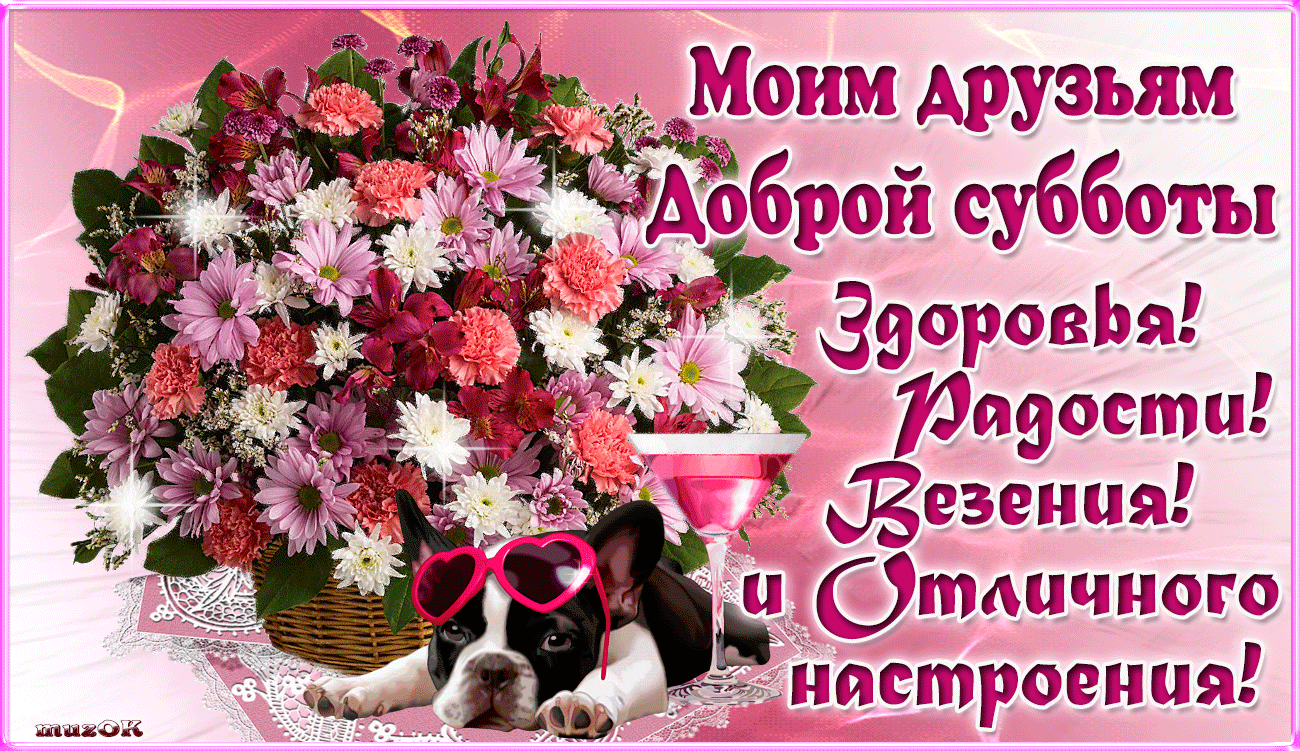 Открытка Открытки на субботу - Открытка с собакой и цветами | Красивая открытка #44