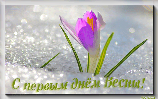 Открытка Первый день весны - Открытка с весенними цветами на снегу | Красивая открытка #75