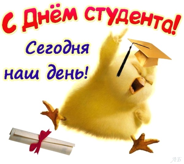 Открытка открытки на день студента  - Открытка с выпускником утёнком | Красивая открытка #8