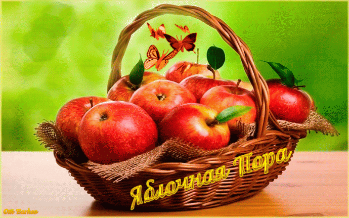 Открытка Яблочный спас - Яблоки в корзине: открытка с фруктами и бабочками | Красивая открытка #267