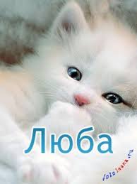 Открытка открытки с именем Любовь - Открытка с котенком: милый подарок | Красивая открытка #11