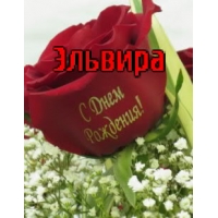 Открытка открытки с именем Эльвира - Открытка с красной розой и надписью "С Днем Рождения" | Красивая открытка #11