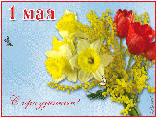 Открытка открытки на 1 мая - Открытка с тюльпанами и мимозой | Красивая открытка #77